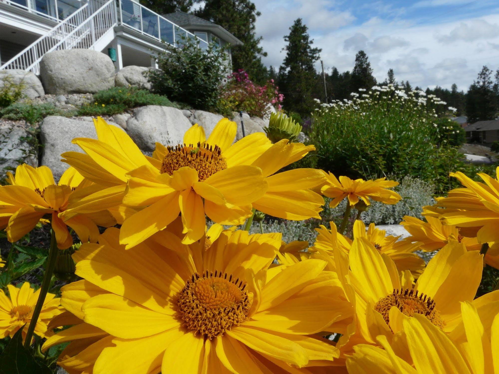 Heartstone B&B Peachland Eksteriør bilde